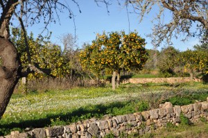 stadionkade kantoor 277